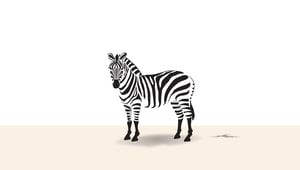 Revel Zebra